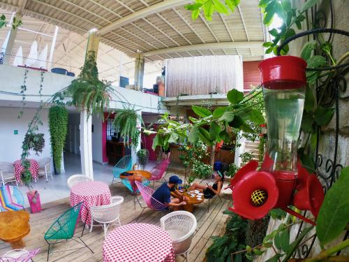 Casa Colibrí Palomino cerca a la playa | Novolandia Tours